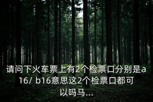 b16,本田b16b發(fā)動機(jī)搭載vtec技術(shù)是什么車?