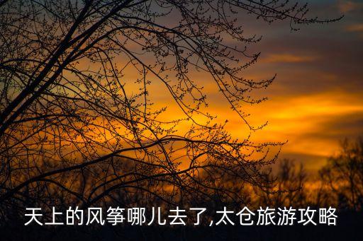 天上的風(fēng)箏哪兒去了,太倉旅游攻略