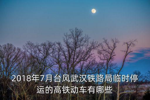 2018年7月臺風武漢鐵路局臨時停運的高鐵動車有哪些