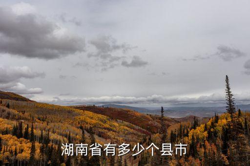 雨湖區(qū)政府,湖南湘潭市刻公章地點主要在行政服務中心和相關政府部門