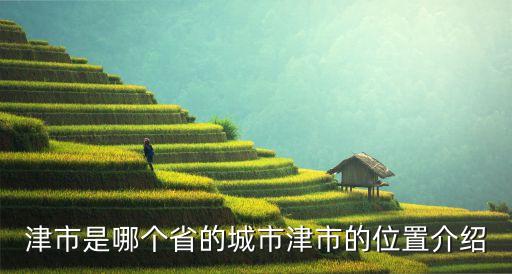津市是哪個省的城市津市的位置介紹