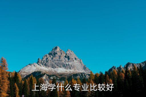 上海學什么專業比較好