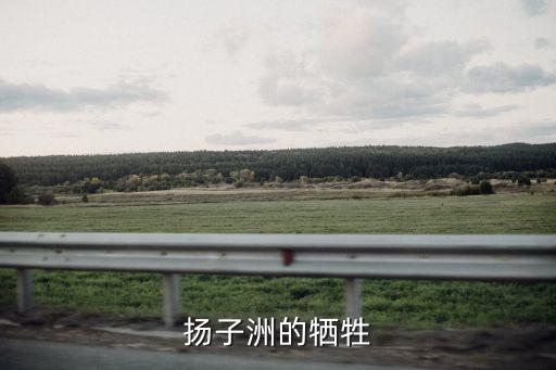 揚子洲的犧牲