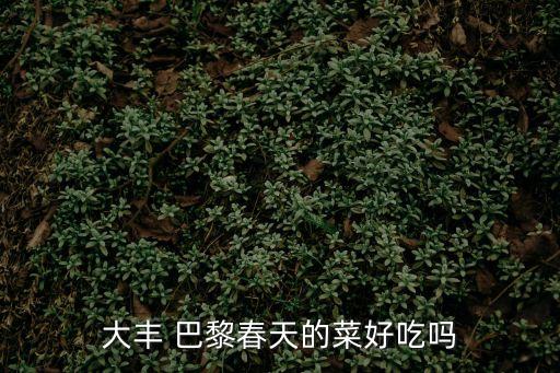 大豐 巴黎春天的菜好吃嗎