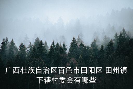 田州,廣西壯族自治區田州古城的歷史和現狀揭曉