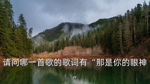 請問哪一首歌的歌詞有“那是你的眼神”