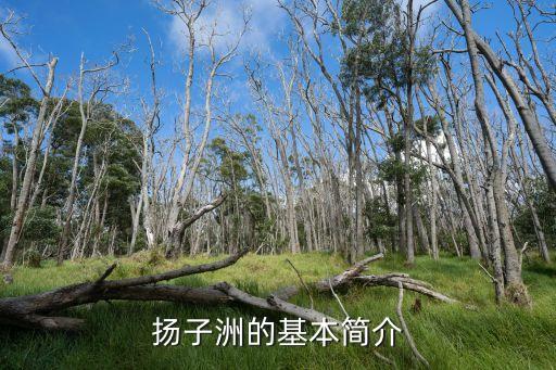 揚子洲鎮,從南昌一環線穿過揚子洲居民只需10分鐘