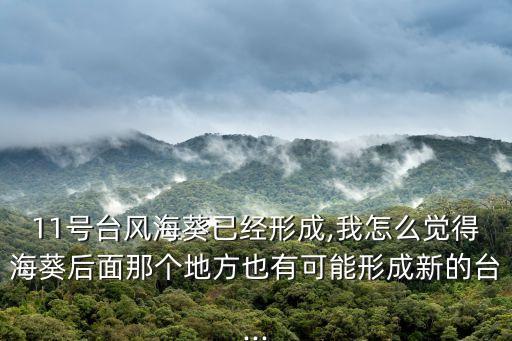 海葵臺風,臺風海葵從哪里登陸?從臺灣省登陸!
