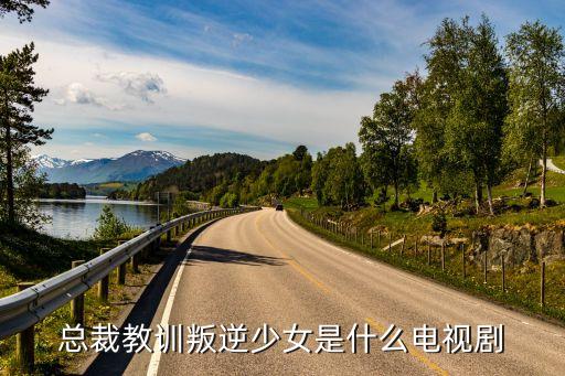 總裁教訓叛逆少女是什么電視劇