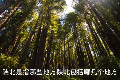陜北和陜西的區別,陜西分陜南和陜北