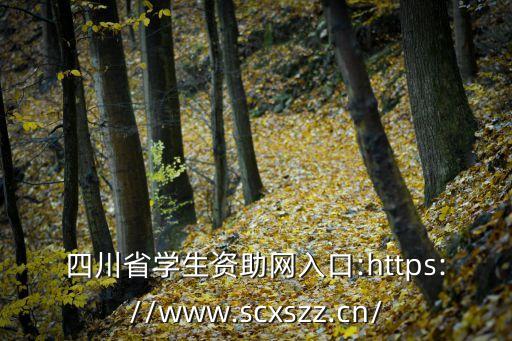 教育資助網,中國教育資助網公益助學一對一資助貧困學生