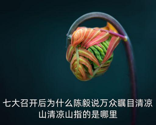 七大召開后為什么陳毅說萬眾矚目清涼山清涼山指的是哪里