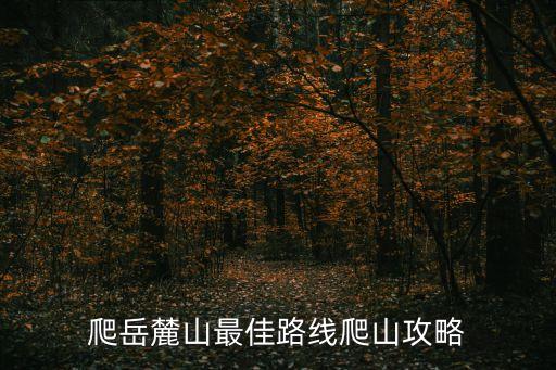 岳麓山滑道,長沙岳麓山滑道多少錢?一文看懂