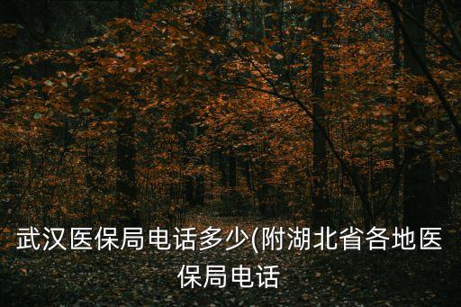 武漢市醫療保障局,武漢設立服務站武漢市醫保局地址