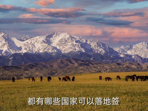 迪拜落地簽,拜登簽證去哪兒可以落地簽?
