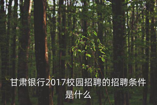 蘭州新區招聘,蘭州哪些國企招三本學歷?