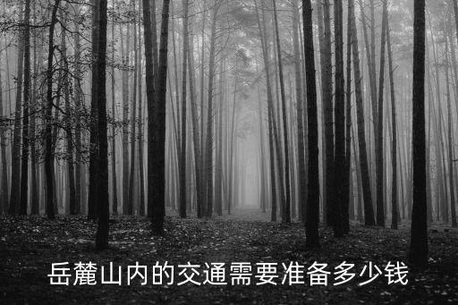 岳麓山內的交通需要準備多少錢