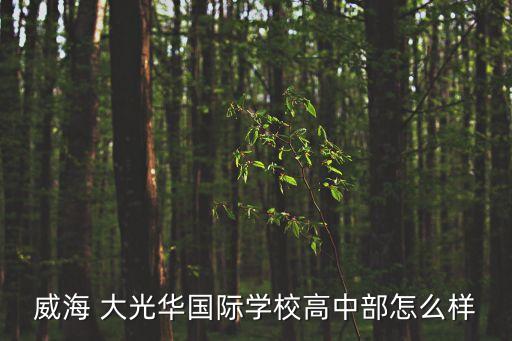 大光華,武漢大光華教育集團旗艦學校哪個好?