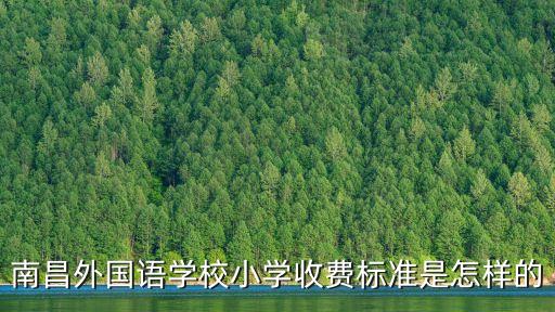 南昌外國語學校小學收費標準是怎樣的
