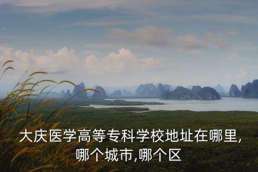  大慶醫學高等專科學校地址在哪里,哪個城市,哪個區