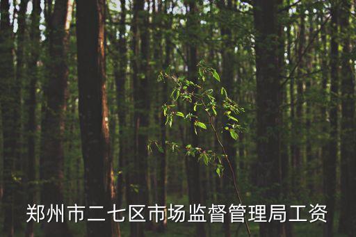 鄭州市市場監督管理局,鄭州市二七區市場監督管理局工資逾3000元