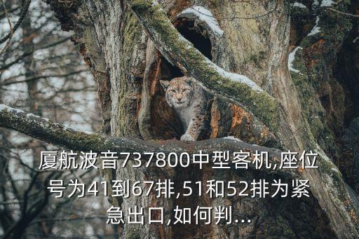 廈航波音737800中型客機,座位號為41到67排,51和52排為緊急出口,如何判...