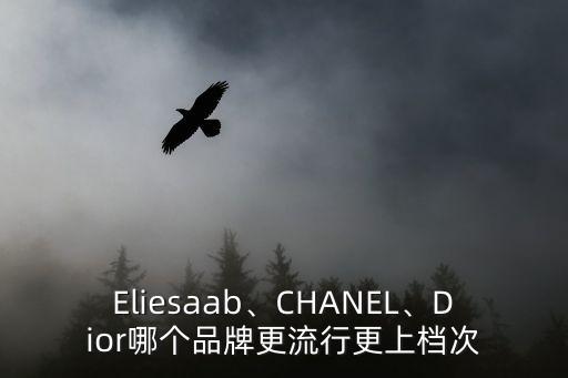 Eliesaab、CHANEL、Dior哪個品牌更流行更上檔次
