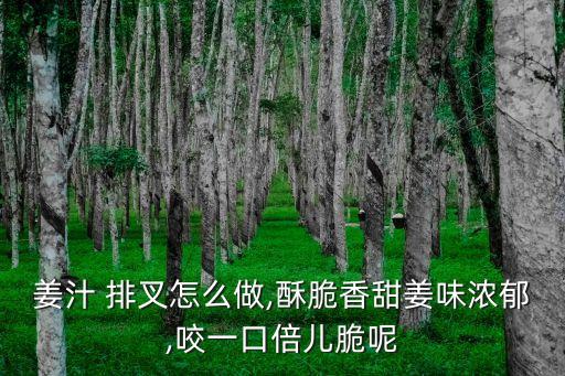 姜汁 排叉怎么做,酥脆香甜姜味濃郁,咬一口倍兒脆呢