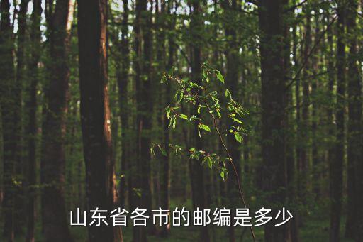 山東省各市的郵編是多少