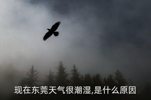 現(xiàn)在東莞天氣很潮濕,是什么原因