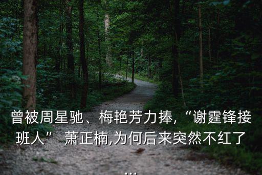 曾被周星馳、梅艷芳力捧,“謝霆鋒接班人” 蕭正楠,為何后來突然不紅了...