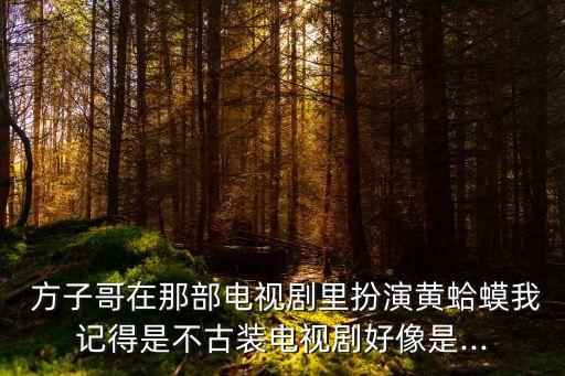  方子哥在那部電視劇里扮演黃蛤蟆我記得是不古裝電視劇好像是...