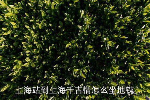 上海站到上海千古情怎么坐地鐵