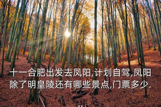 明皇陵在哪里,明朝皇陵沒人盜陵寢在哪里?