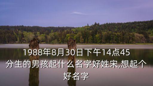 宋祝,全國兔年姓大名起宋孩宋閩辰旺涵宋俊妍宋文城宋思辰宋慶宋