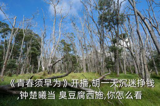 臭豆腐西施,豆腐西施故里臭到香再香