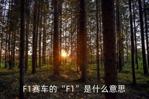 方程式錦標賽,f1世界錦標賽:一級方程式賽車奪冠