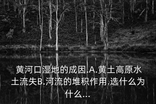 黃河口濕地,為什么形成黃河口濕地?河流沉積形成