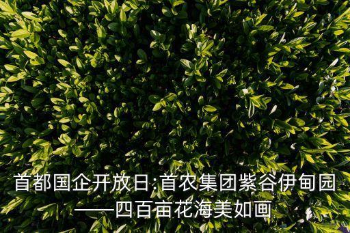 首都國企開放日:首農(nóng)集團紫谷伊甸園——四百畝花海美如畫