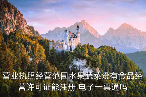 電子一票通,甘肅電子一票通怎么開怎么辦?