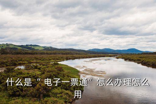 什么是“ 電子一票通”怎么辦理怎么用
