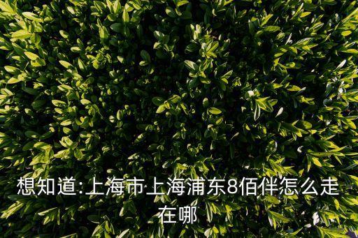 浦東八佰伴,上海浦東八佰伴怎么走?