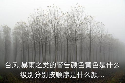臺風,暴雨之類的警告顏色黃色是什么級別分別按順序是什么顏...