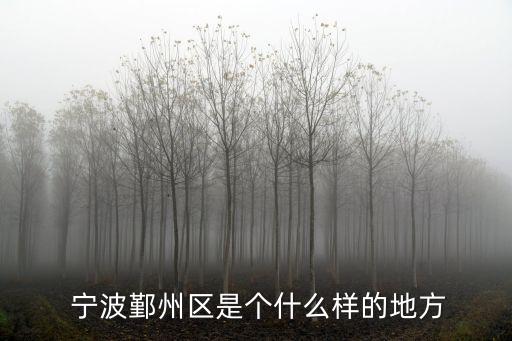  寧波鄞州區(qū)是個什么樣的地方