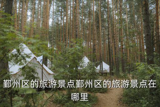 寧波鄞州區(qū),寧波鄞州區(qū)有哪些大學(xué)?