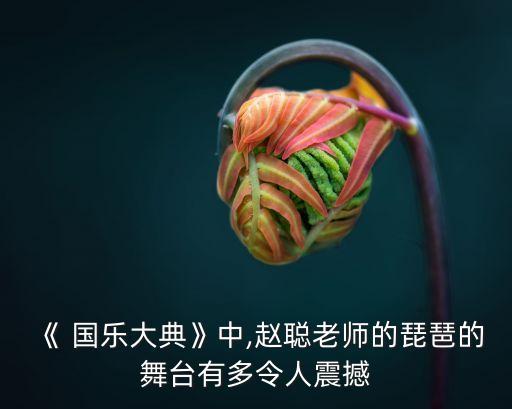 《 國樂大典》中,趙聰老師的琵琶的舞臺有多令人震撼