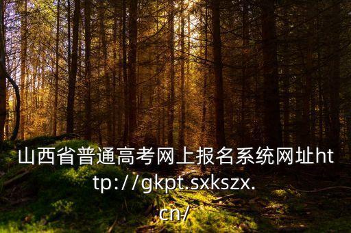 高考考生服務(wù)平臺,成人高考信息服務(wù)平臺?