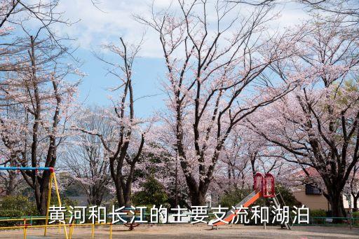 黃河的支流,黃河支流示意圖:最大支流是涇河