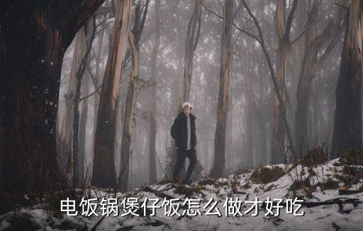 電飯鍋煲仔飯怎么做才好吃