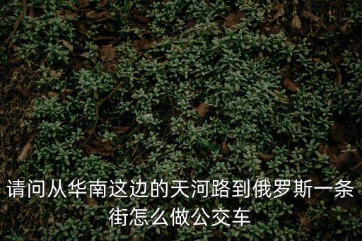 俄羅斯風情一條街,大連俄羅斯風情一條街有哪些需要留意的?